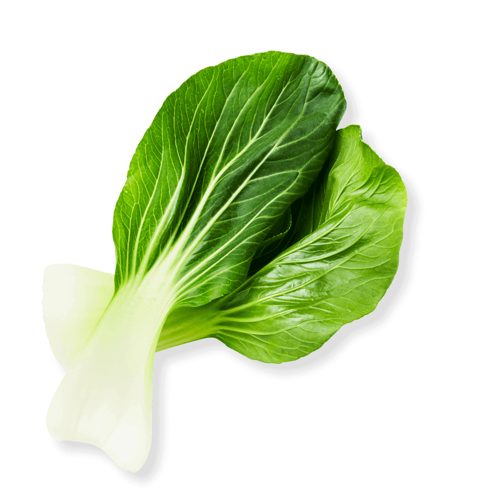 Bokchoy