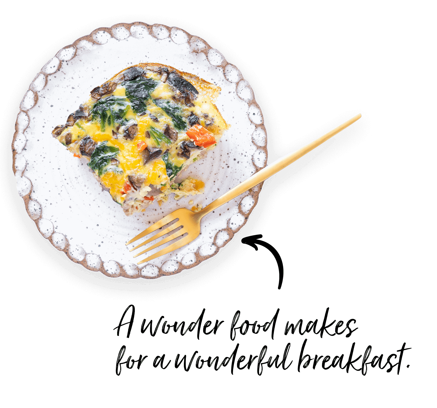 Cass plate