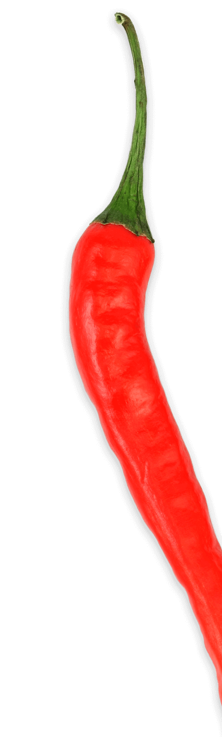 chilli pepper