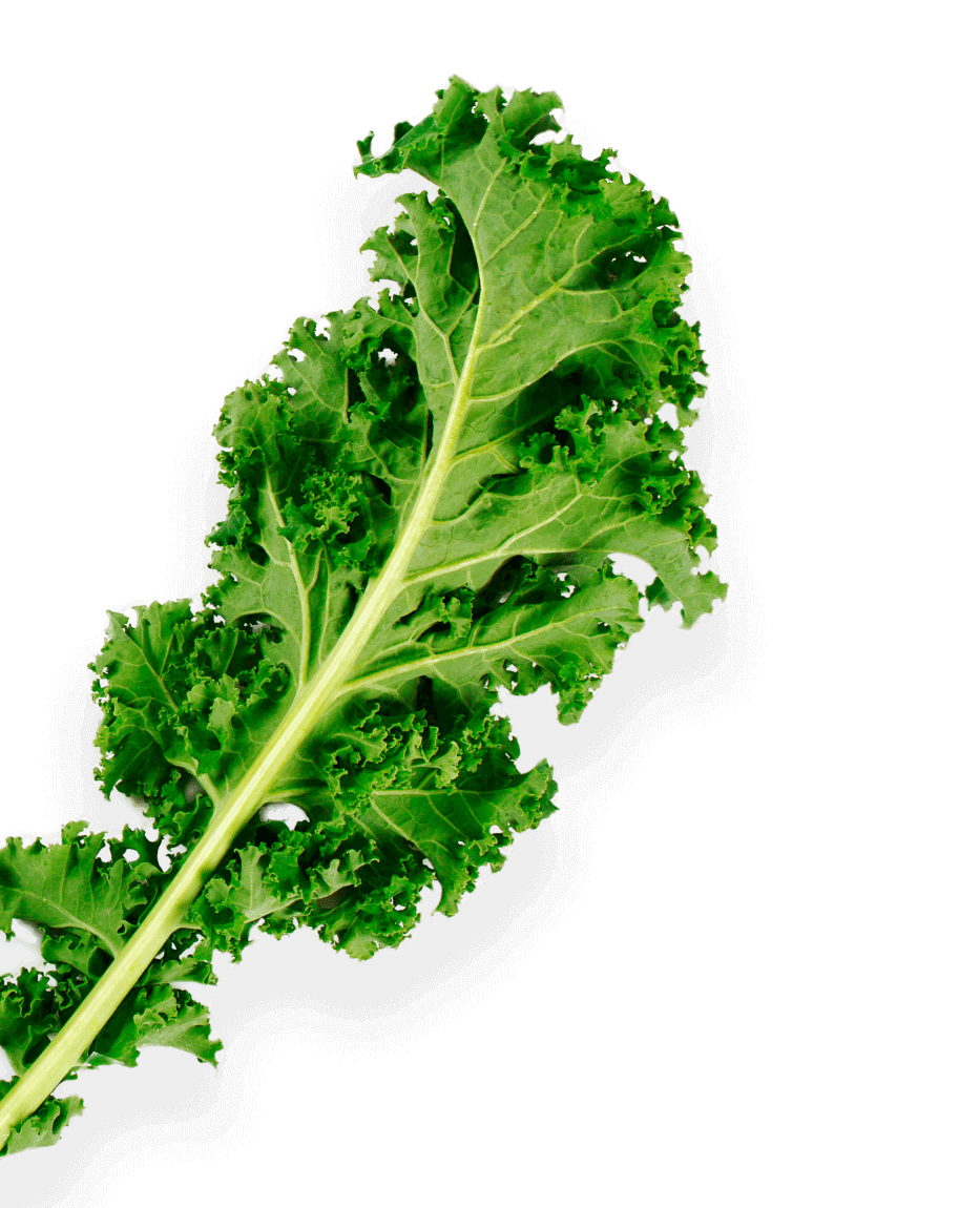 Kale