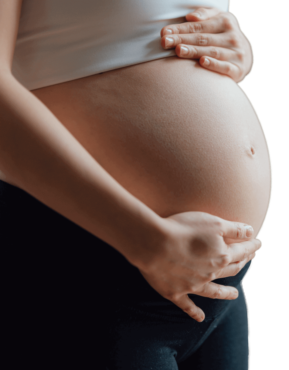 Female pregnant belly