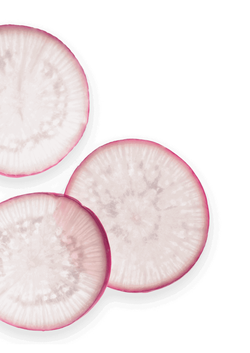 Radish