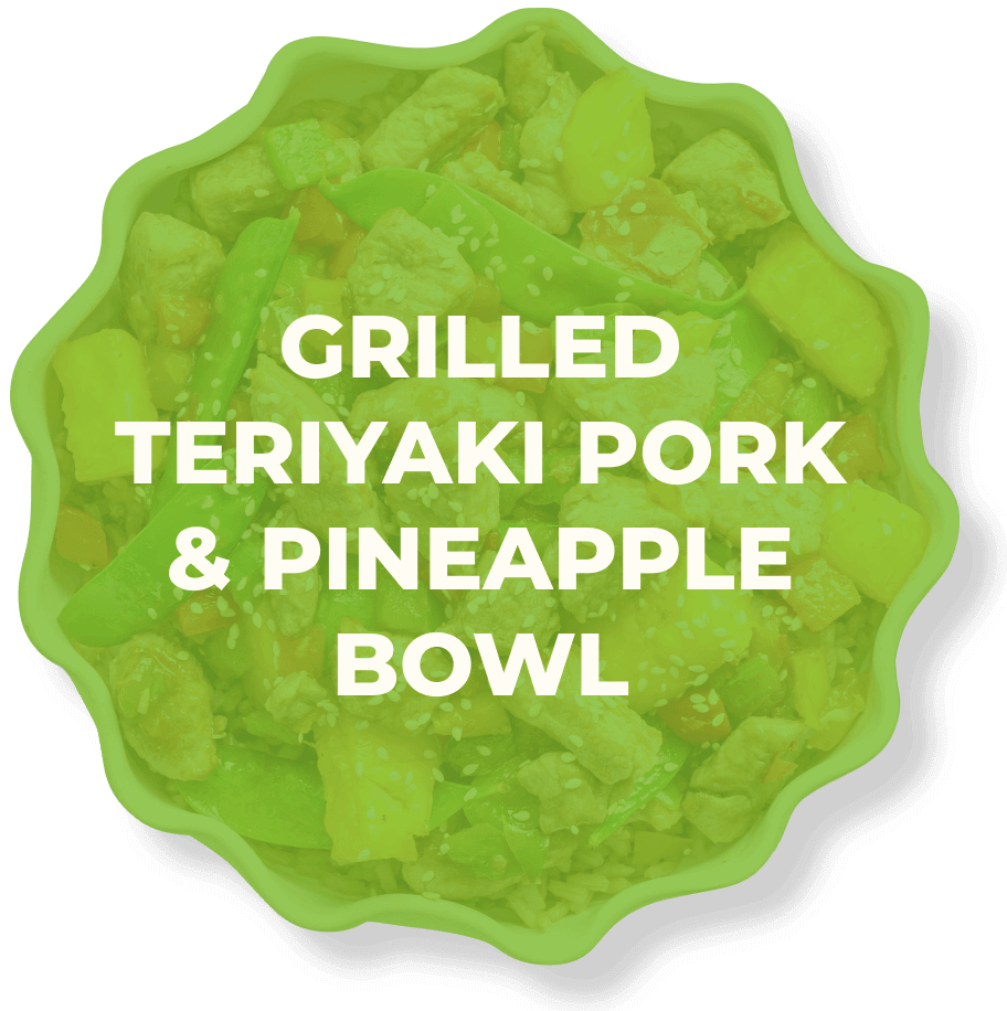 Teriyaky Pork Bowl hover state